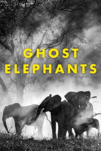 Ghost Elephants (2025)