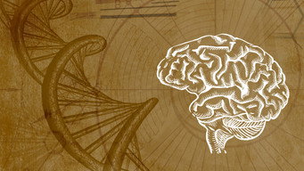 Subconscious Programming