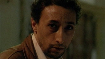 Mektoub media image