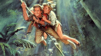 Роман з каменем (1984)