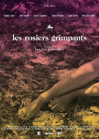 Poster of Les rosiers grimpants