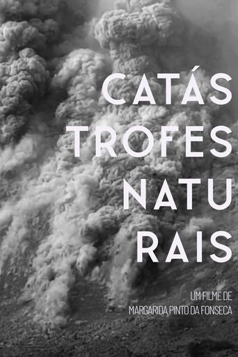 Natural Disasters Poster