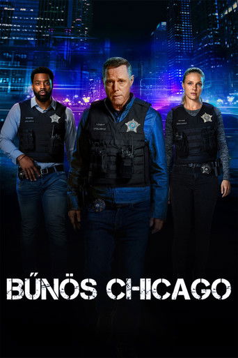 Bűn&ouml;s Chicago (2014)