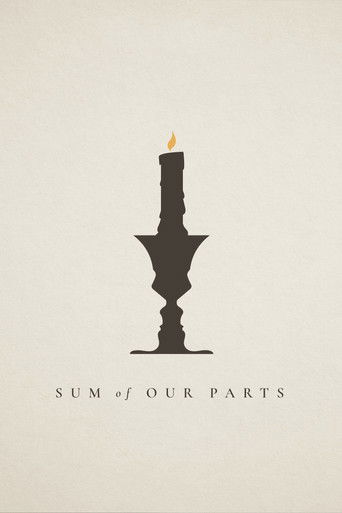 Sum of Our Parts poster