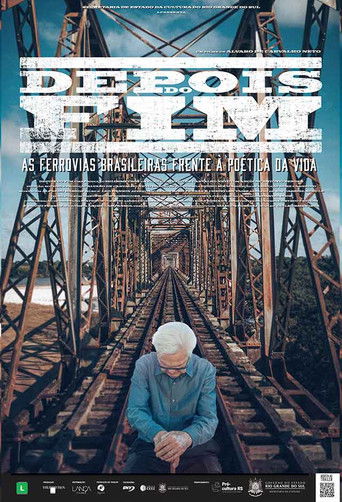 Depois do Fim poster