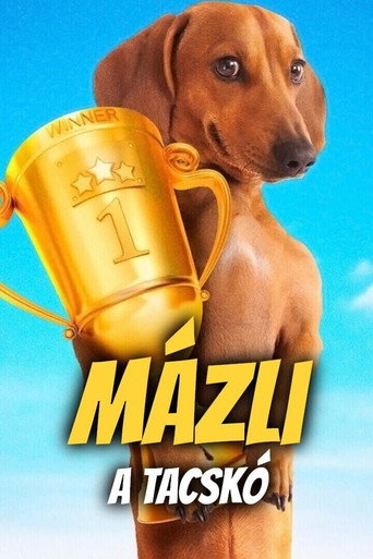 Poster 8