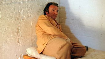 Episode 7 — Episode 7