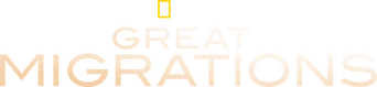Great Migrations logo