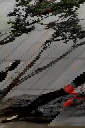 The Messenger (2021)