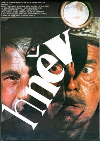 Poster of Hněv