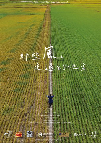 那些風走過的地方 (2025)