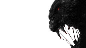 Galeria 5 - Monstrum