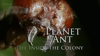 Planet Ant: Life Inside the Colony (2013)