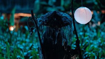 Episode 2 — Ferrytale