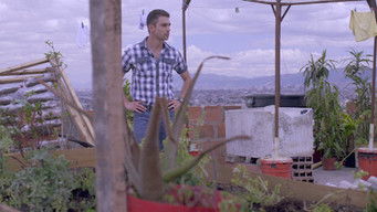 Episode 20 — Episode 20