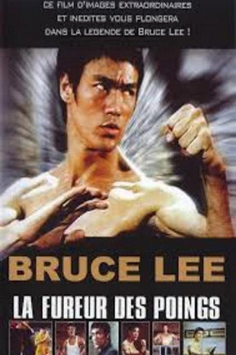 Bruce Lee the immortal dragon poster