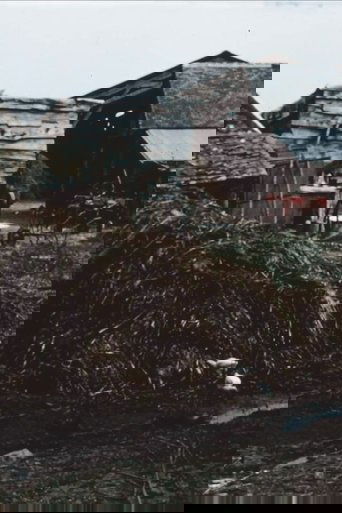 The Mud House