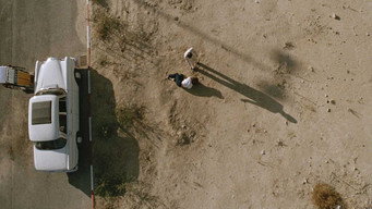 #6 The Hit