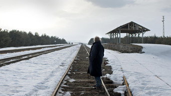 Зимова сплячка (2014)