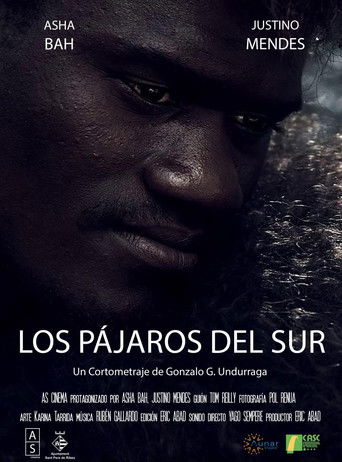 Cartell de Los Pájaros del Sur