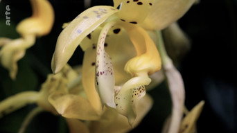 The amazing abilities of plants (2024)