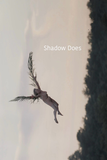 Póster de Shadow Does