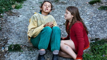 The Wonders (2014)