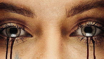 Galeria 4 - Cabin Fever