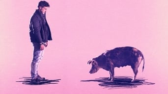 Galeria 2 - La chancha