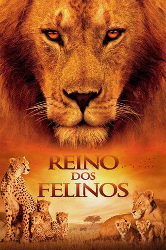 Reino dos Felinos