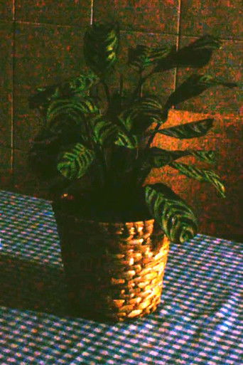 alguém invadiu a minha casa poster