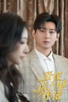 爱在谎言里开花 poster