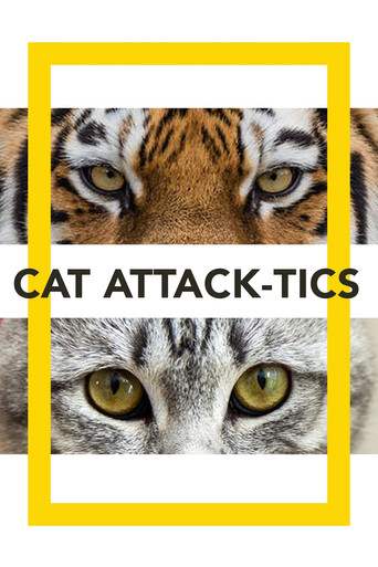Cat Attack-Tics poster