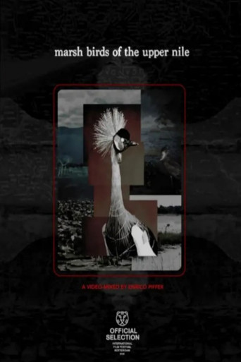 Marsh Birds of the Upper Nile (2026)