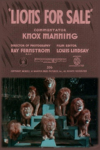 Lions for Sale