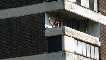 The Flats (2024)