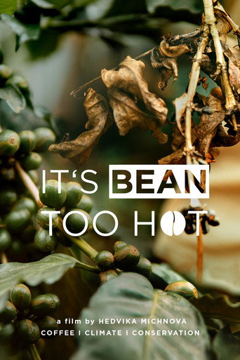 It’s Bean Too Hot galeri 1