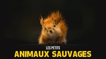 Les petits animaux sauvages (1999)