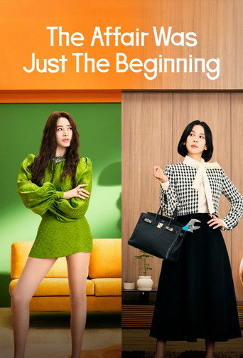 The Affair Was Just The Beginning poster