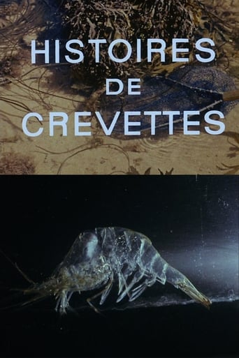 Poster för Histoires de crevettes