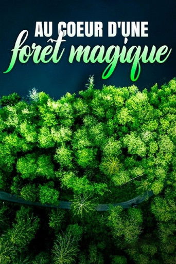 Au c&oelig;ur d'une for&ecirc;t magique (2023)
