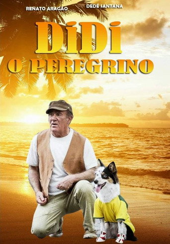 Didi the Pilgrim (2013)