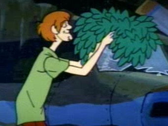 Shaggy Busted