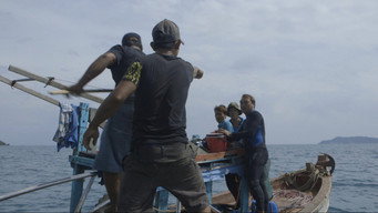 Current Sea (2020)