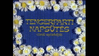 Episodio 8 — Episodio 8
