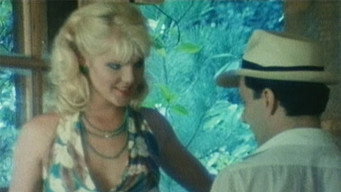 The Blonde Next Door (1982)