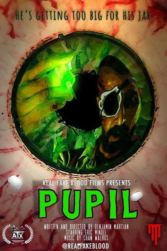 Pupil (2019)