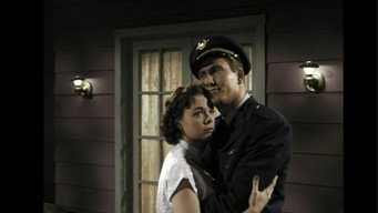 RiffTrax Live: Plan 9 from Outer Space (2009)