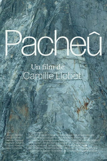 Pacheû poster