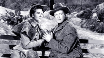 One Sunday Afternoon (1948)